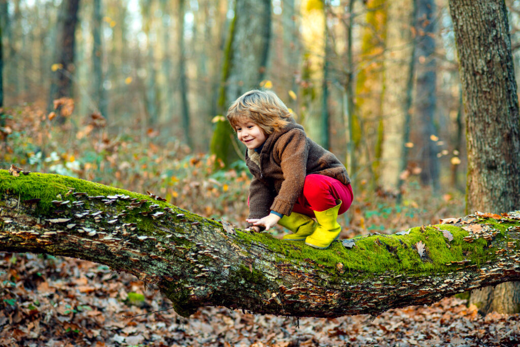 Child climbing on tree, autumn kids time.