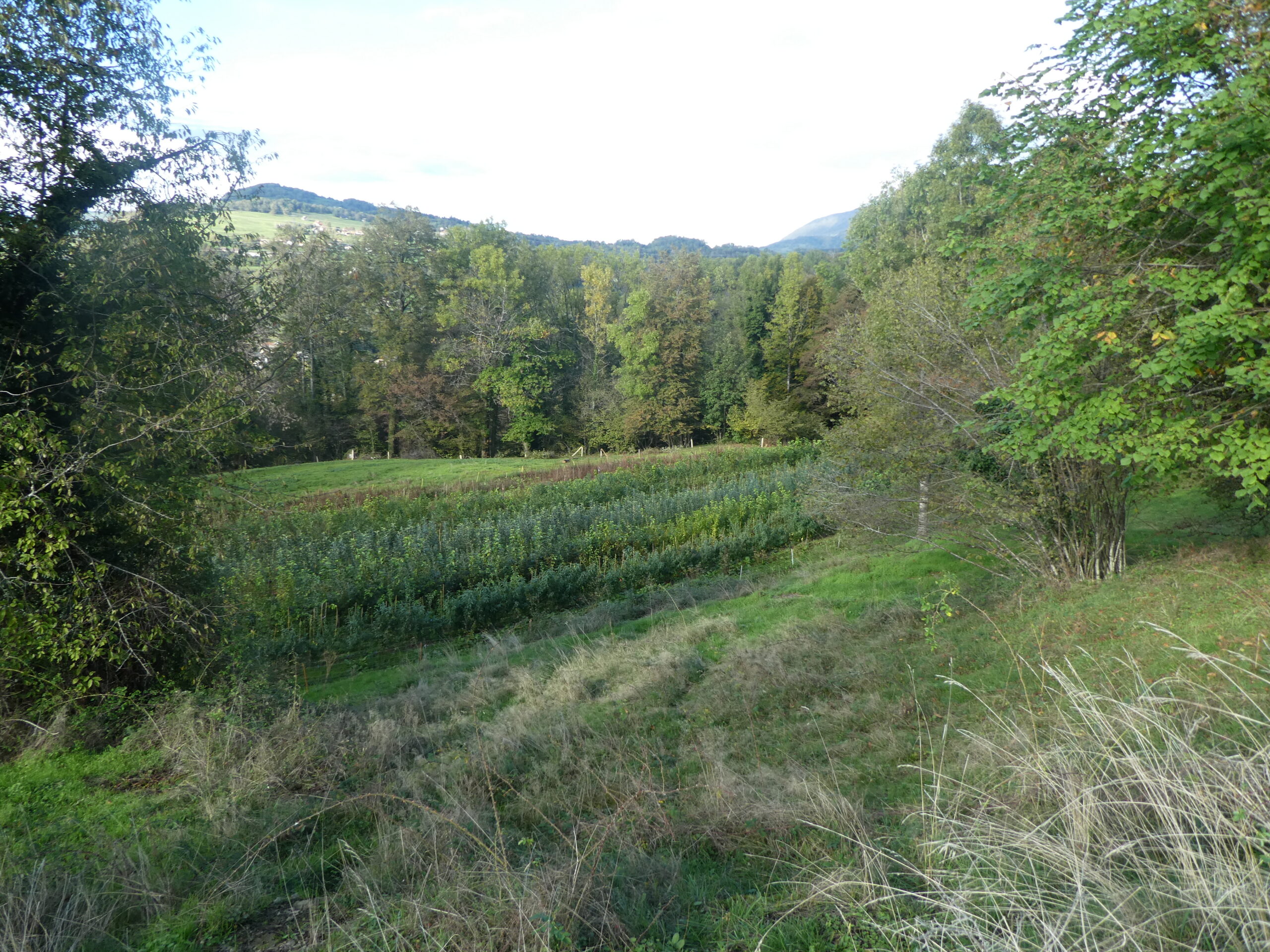 P1040030
